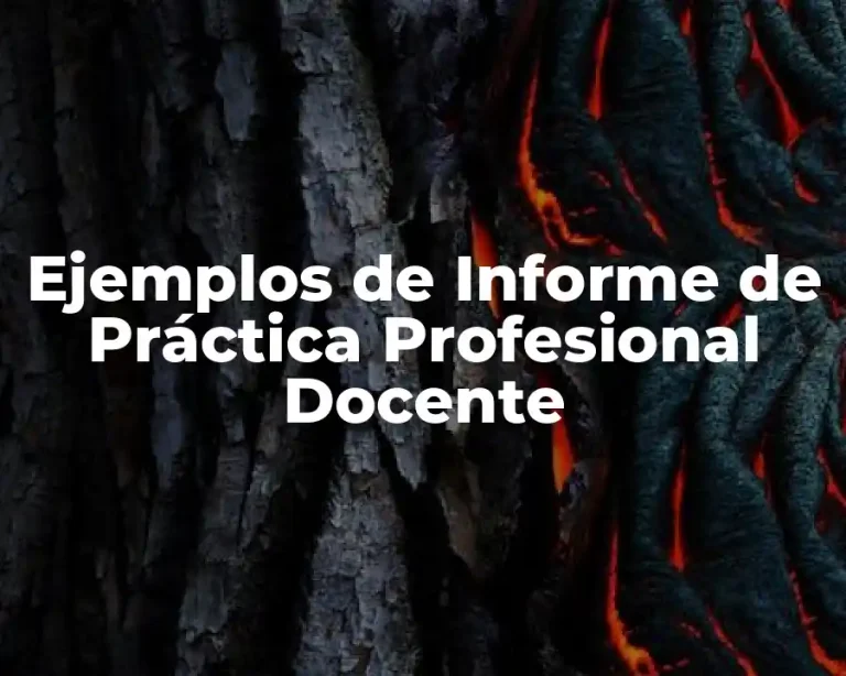 Ejemplos de Informe de Práctica Profesional Docente