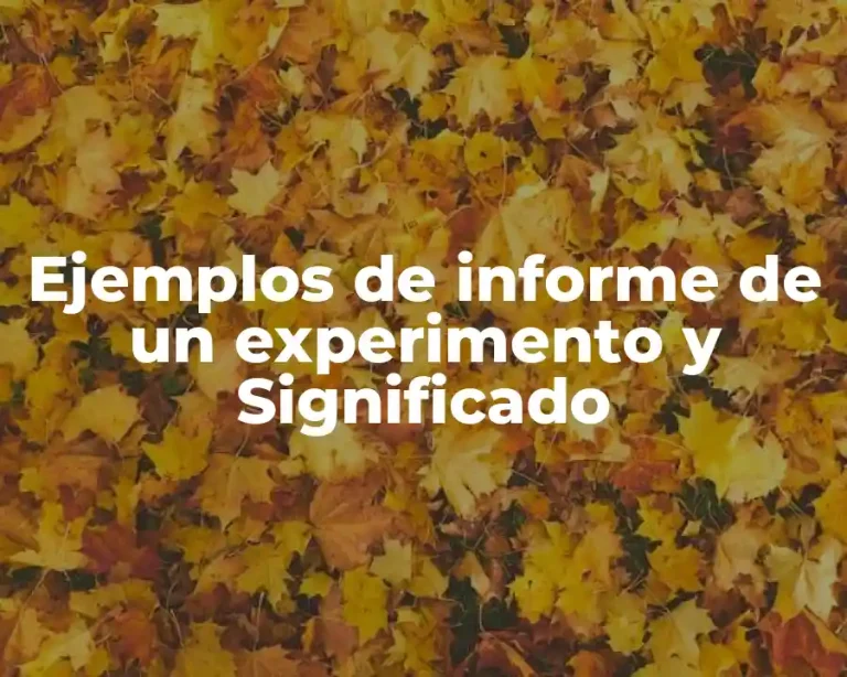 Ejemplos de informe de un experimento y Significado