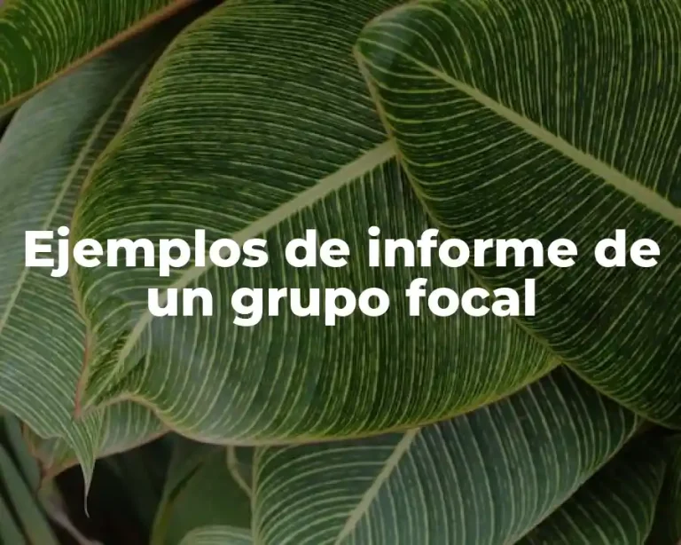 Ejemplos de informe de un grupo focal