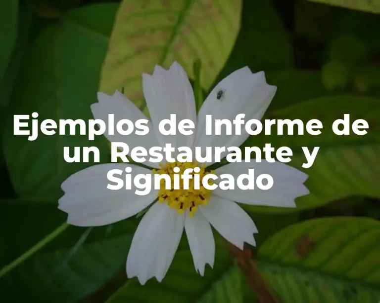 Ejemplos de Informe de un Restaurante y Significado