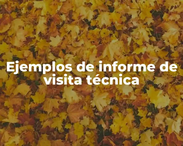 Ejemplos de informe de visita técnica
