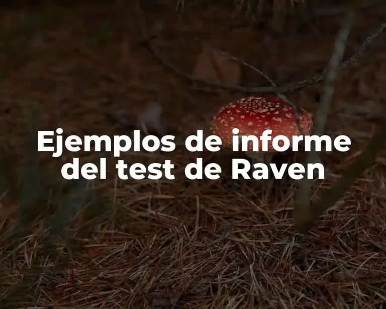 Ejemplos de informe del test de Raven