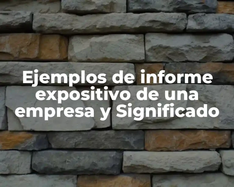 Ejemplos de informe expositivo de una empresa y Significado