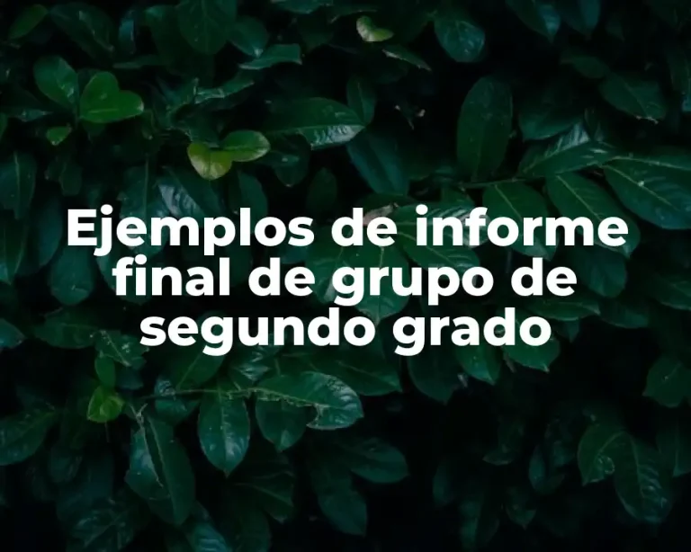 Ejemplos de informe final de grupo de segundo grado