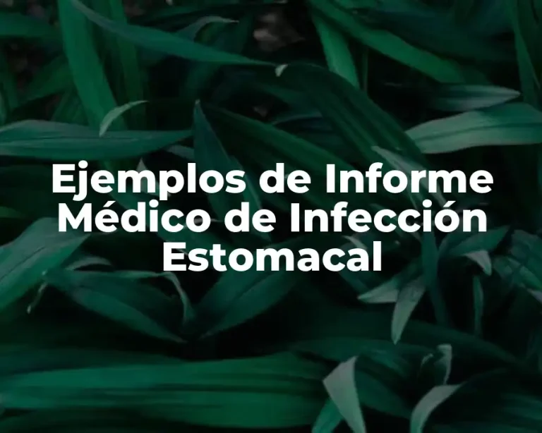 Ejemplos de Informe Médico de Infección Estomacal