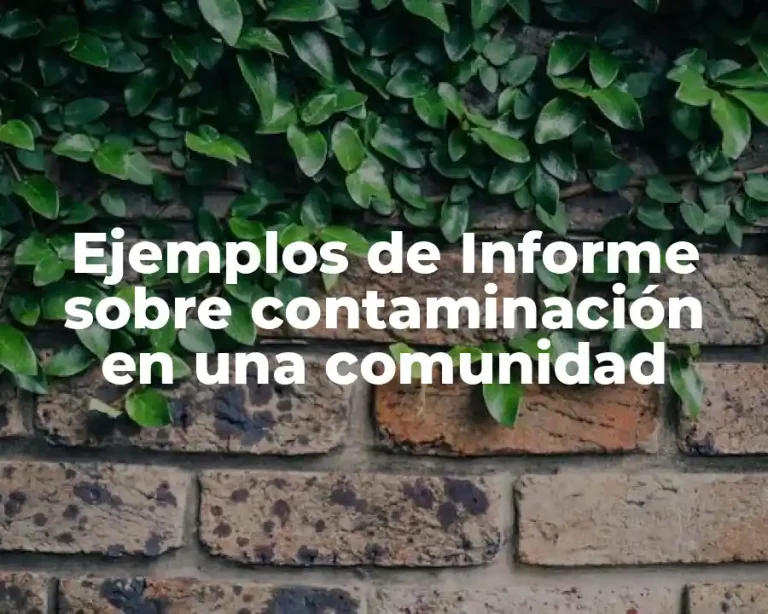 Ejemplos de Informe sobre contaminación en una comunidad