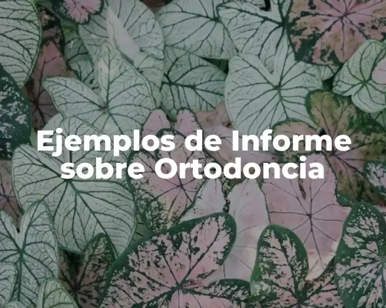 Ejemplos de Informe sobre Ortodoncia