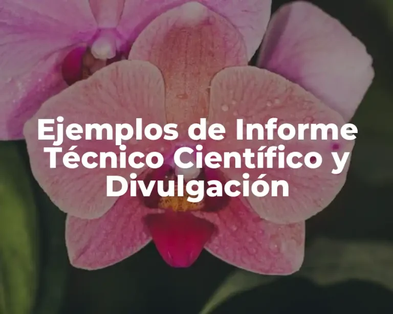 Ejemplos de Informe Técnico Científico y Divulgación