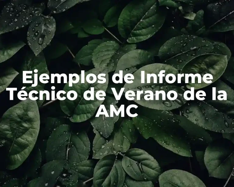 Ejemplos de Informe Técnico de Verano de la AMC
