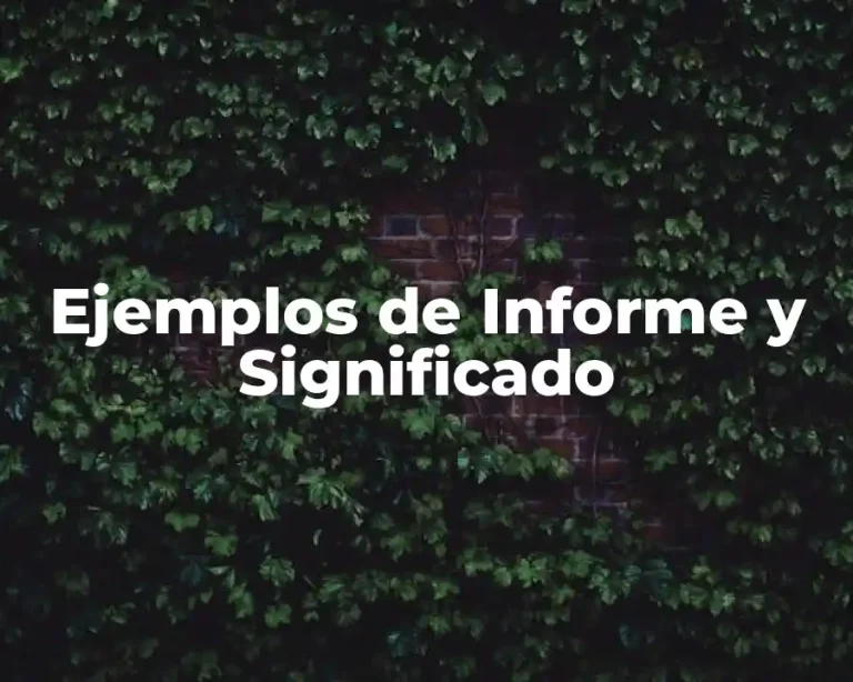 Ejemplos de Informe y Significado