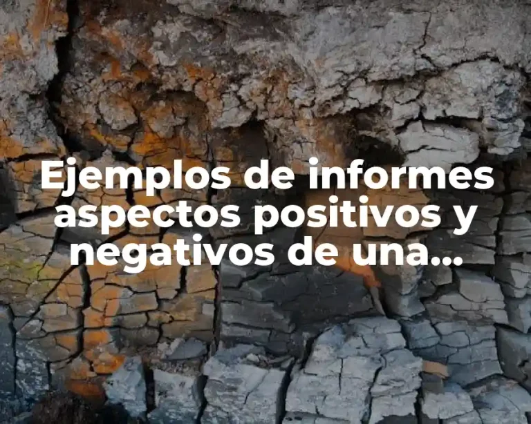 Ejemplos de informes aspectos positivos y negativos de una empresa