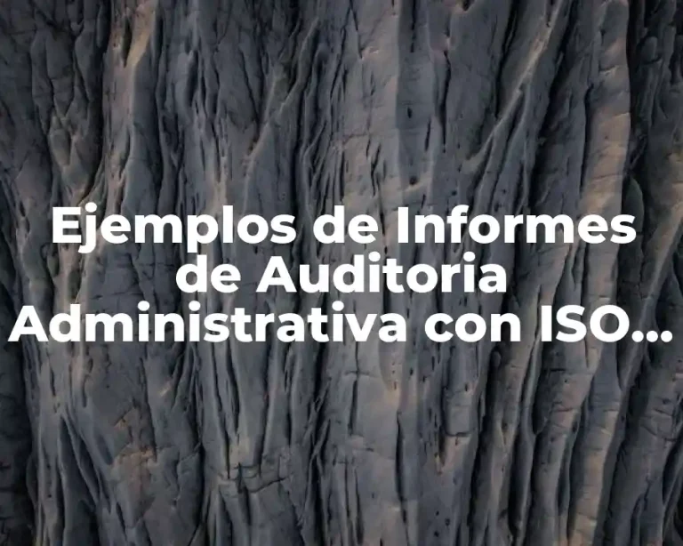 Ejemplos de Informes de Auditoria Administrativa con ISO 2001