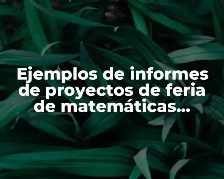Ejemplos de informes de proyectos de feria de matemáticas primaria