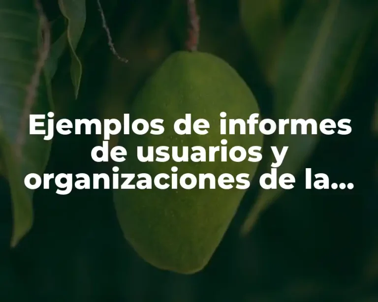Ejemplos de informes de usuarios y organizaciones de la información