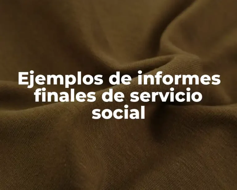 Ejemplos de informes finales de servicio social