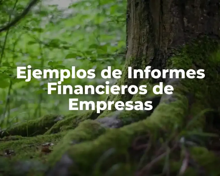 Ejemplos de Informes Financieros de Empresas