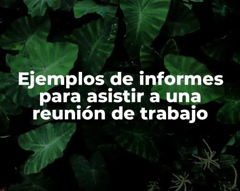 Ejemplos de informes para asistir a una reunión de trabajo