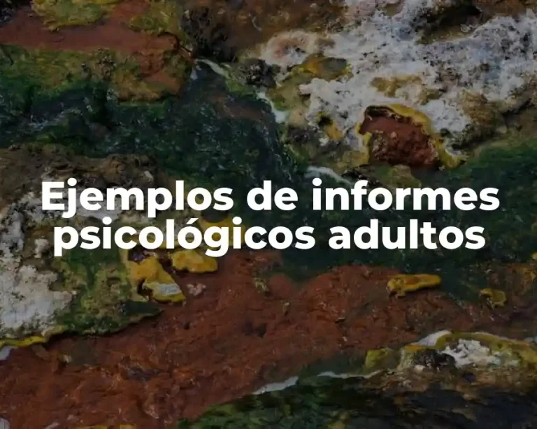 Ejemplos de informes psicológicos adultos