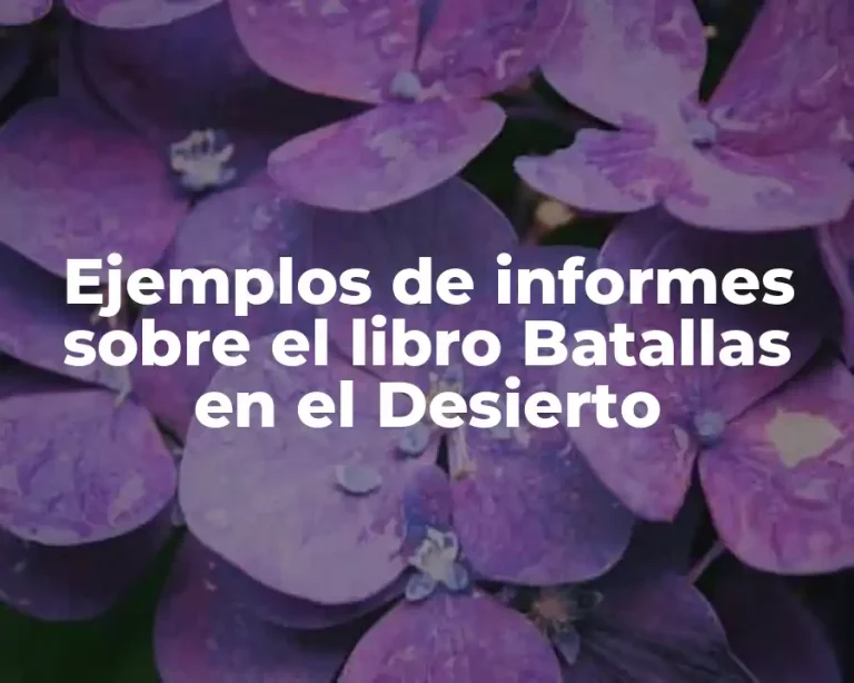 Ejemplos de informes sobre el libro Batallas en el Desierto