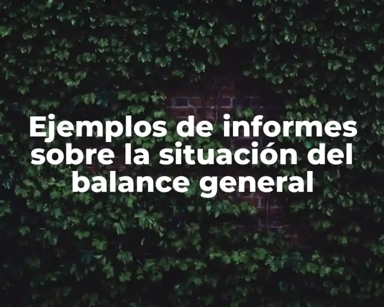 Ejemplos de informes sobre la situación del balance general