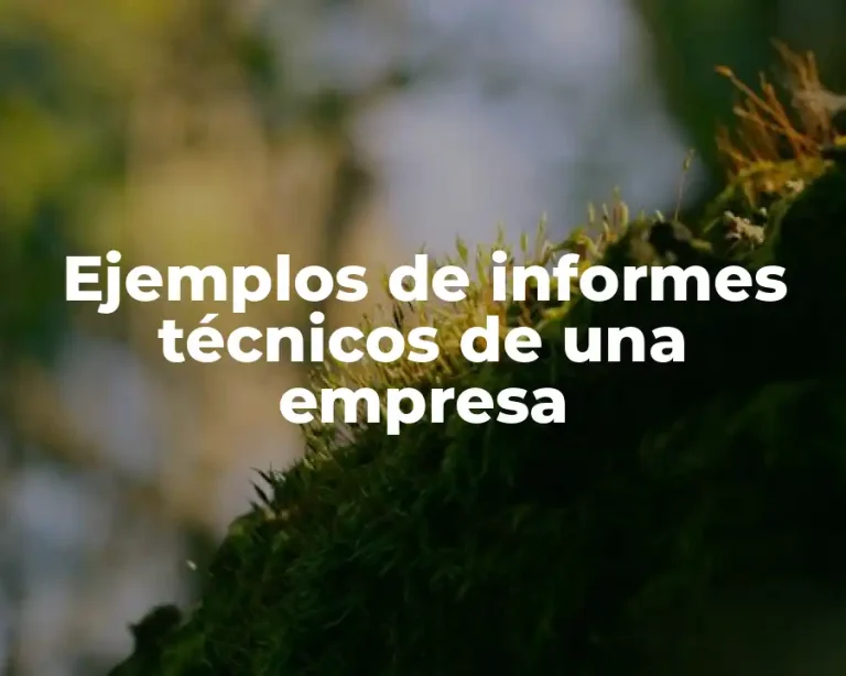 Ejemplos de informes técnicos de una empresa