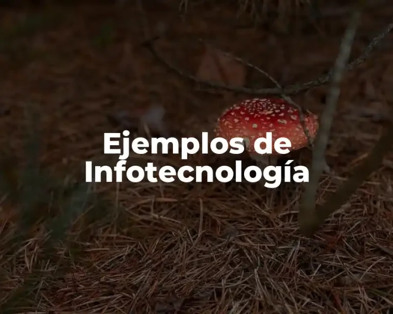 Ejemplos de Infotecnología