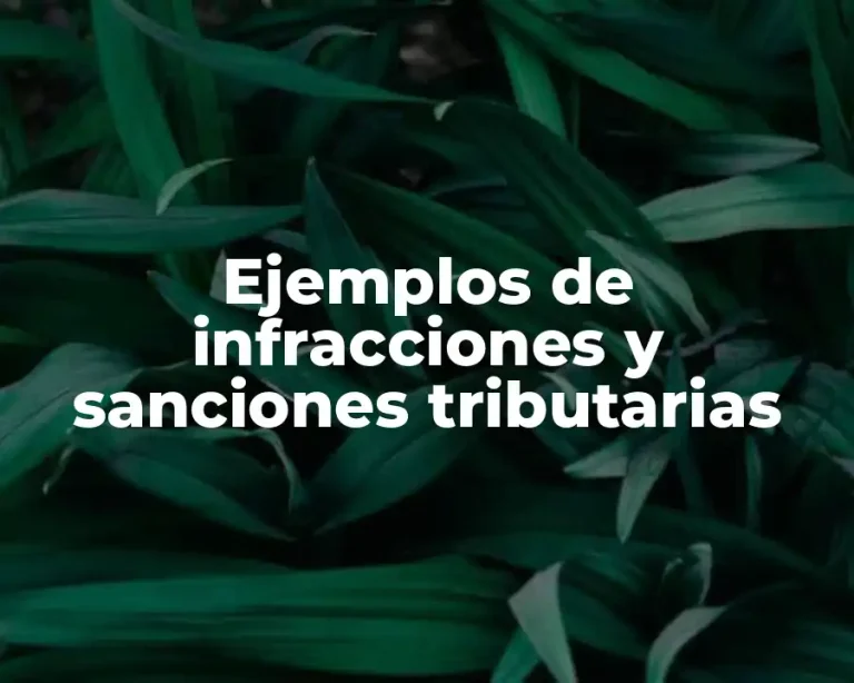 Ejemplos de infracciones y sanciones tributarias