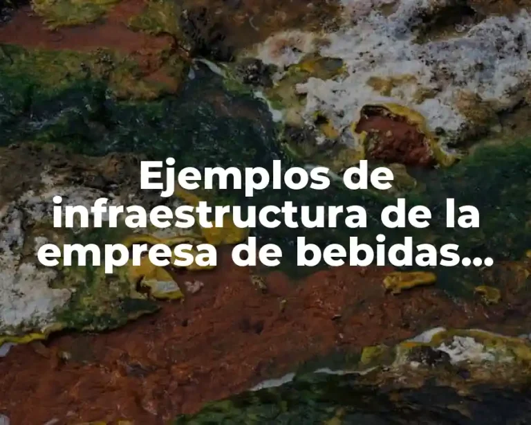 Ejemplos de infraestructura de la empresa de bebidas premixes y Significado