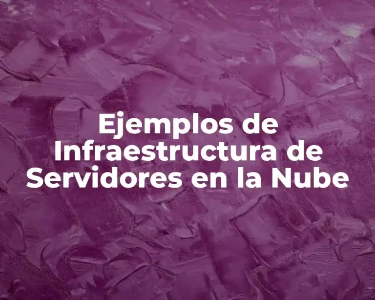 Ejemplos de Infraestructura de Servidores en la Nube