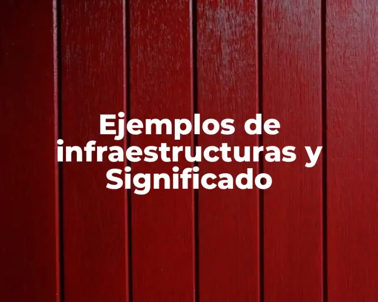 Ejemplos de infraestructuras y Significado