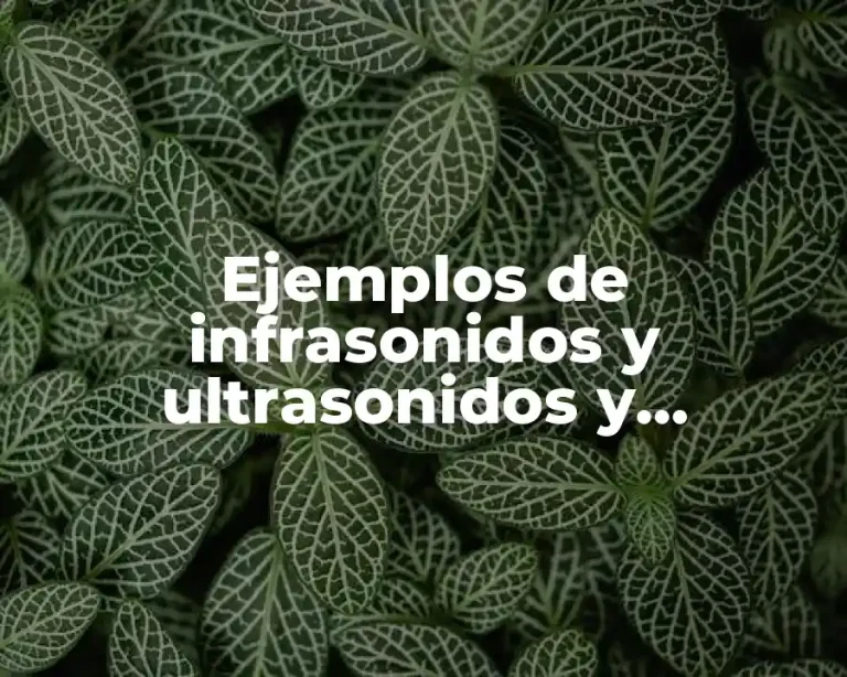 Ejemplos de infrasonidos y ultrasonidos y Significado