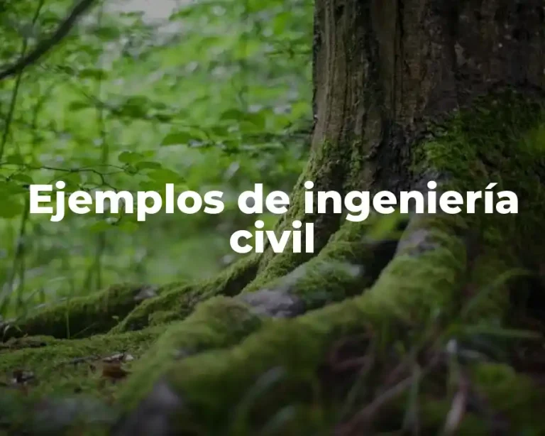 Ejemplos de ingeniería civil