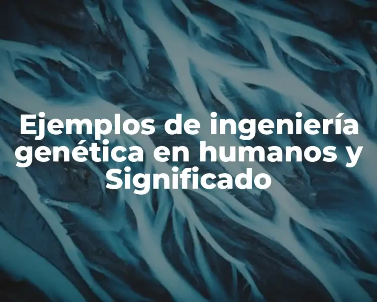 Ejemplos de ingeniería genética en humanos y Significado