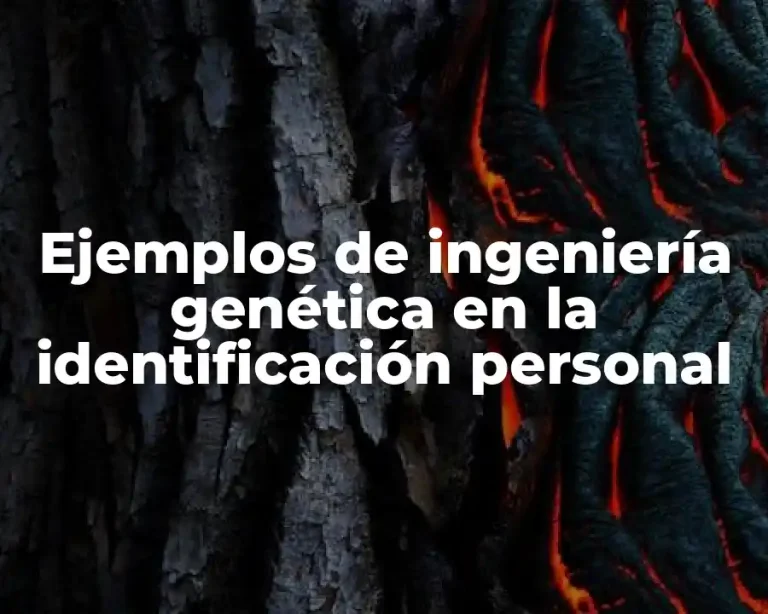 Ejemplos de ingeniería genética en la identificación personal
