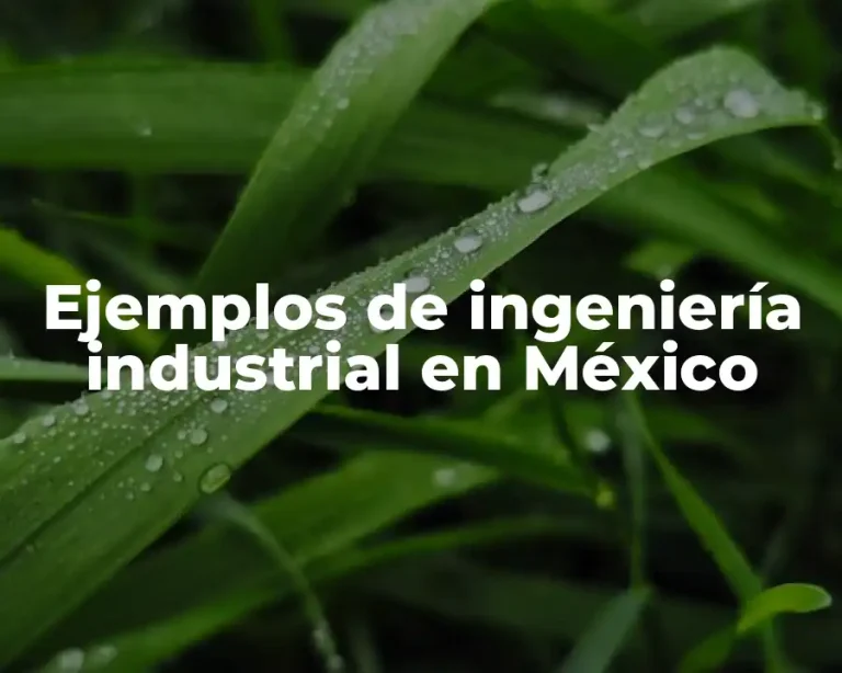 Ejemplos de ingeniería industrial en México