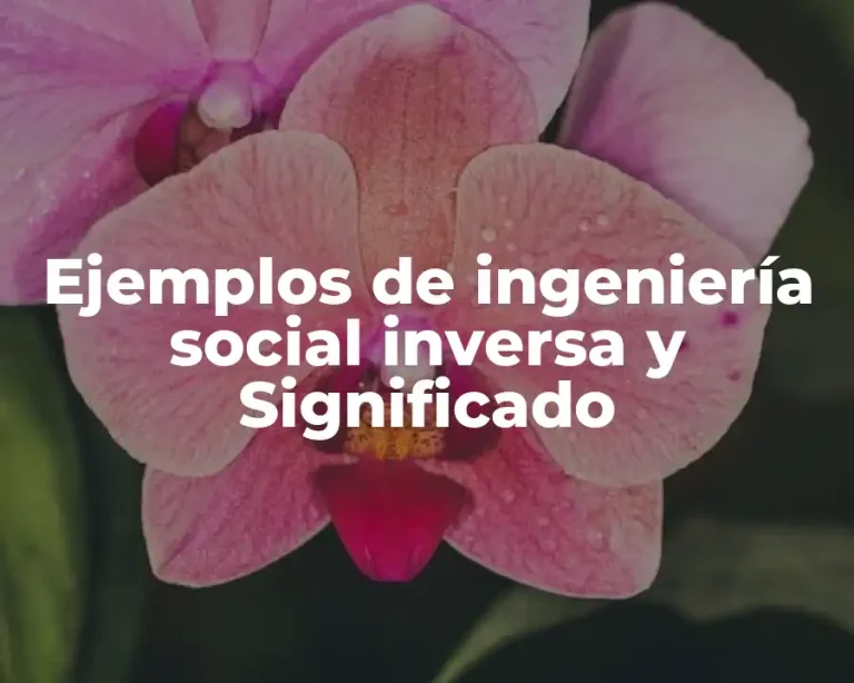 Ejemplos de ingeniería social inversa y Significado