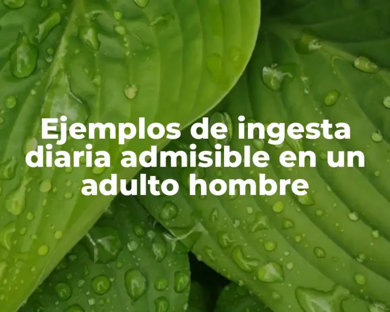 Ejemplos de ingesta diaria admisible en un adulto hombre