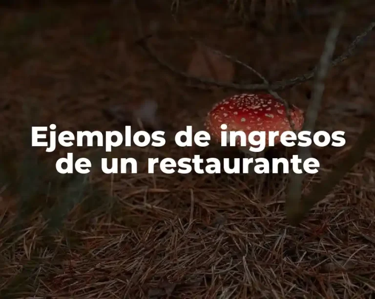 Ejemplos de ingresos de un restaurante