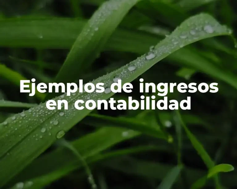 Ejemplos de ingresos en contabilidad
