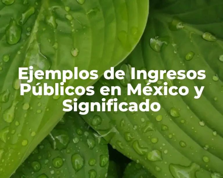 Ejemplos de Ingresos Públicos en México y Significado