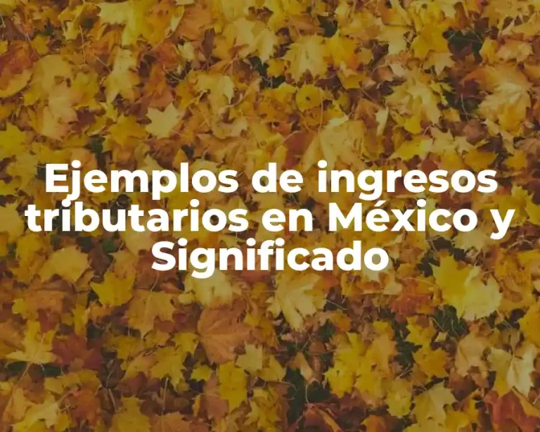 Ejemplos de ingresos tributarios en México y Significado