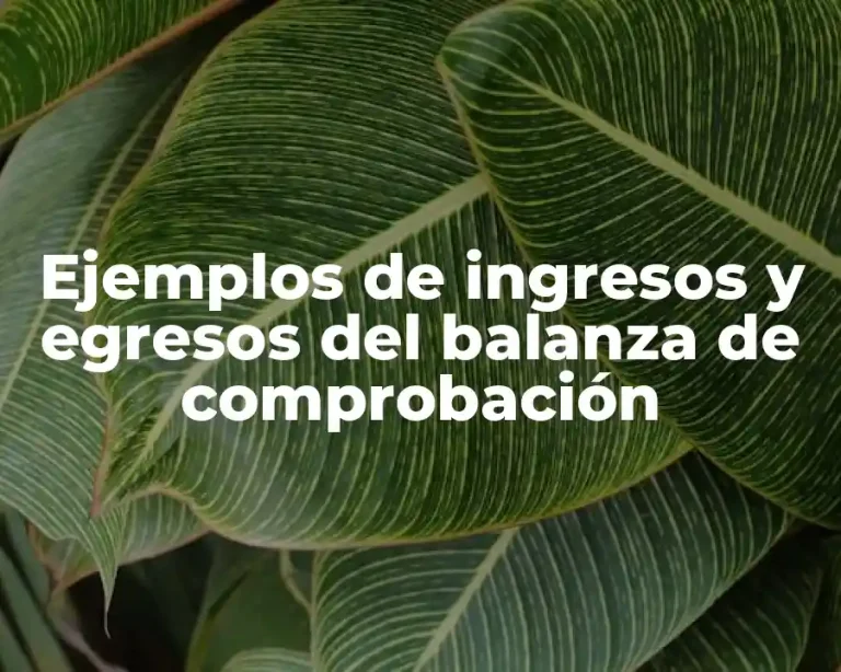 Ejemplos de ingresos y egresos del balanza de comprobación
