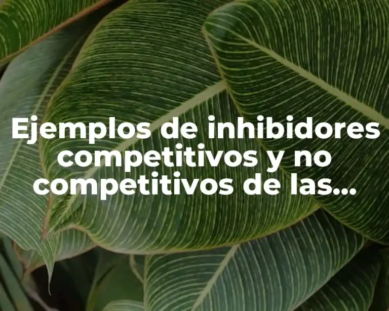 Ejemplos de inhibidores competitivos y no competitivos de las enzimas