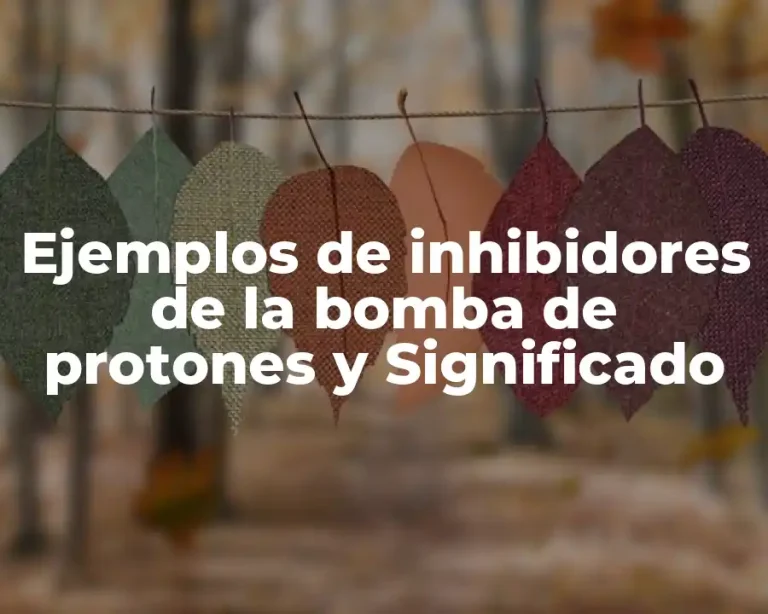 Ejemplos de inhibidores de la bomba de protones y Significado