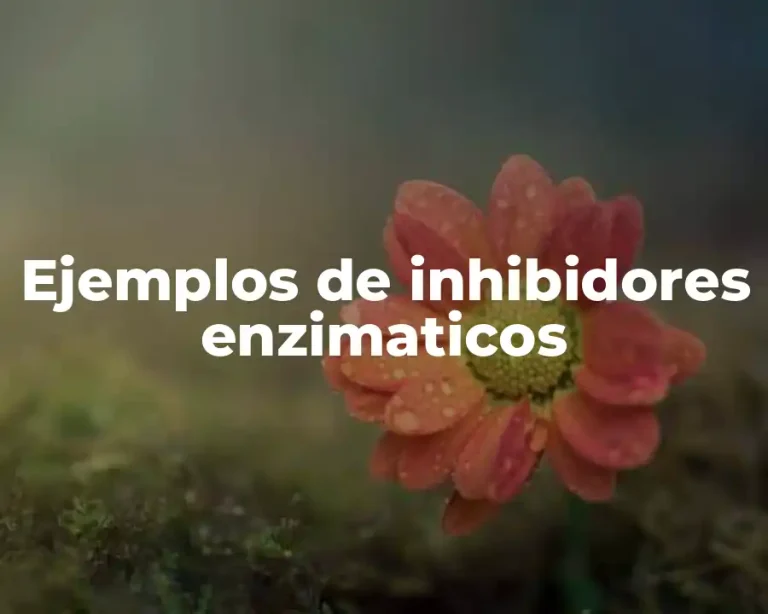 Ejemplos de inhibidores enzimaticos