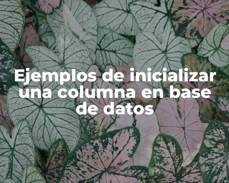 Ejemplos de inicializar una columna en base de datos