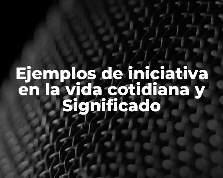 Ejemplos de iniciativa en la vida cotidiana y Significado