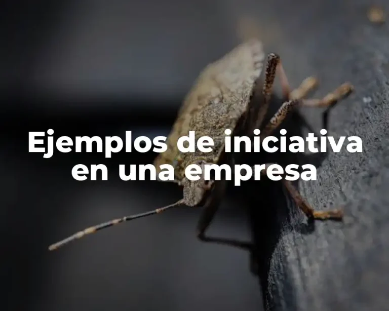 Ejemplos de iniciativa en una empresa