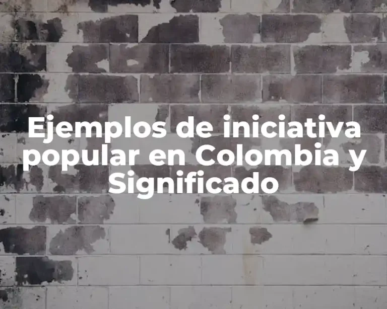 Ejemplos de iniciativa popular en Colombia y Significado
