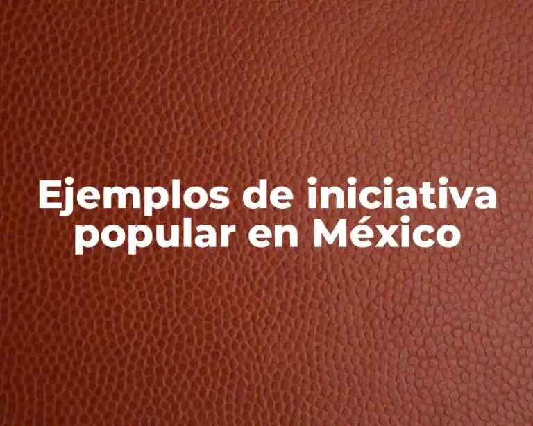 Ejemplos de iniciativa popular en México